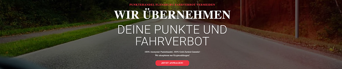 punktetrader.com Website Screenshot